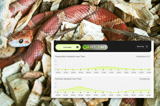 Reptile Temp & Humidity Guide (°F/°C)