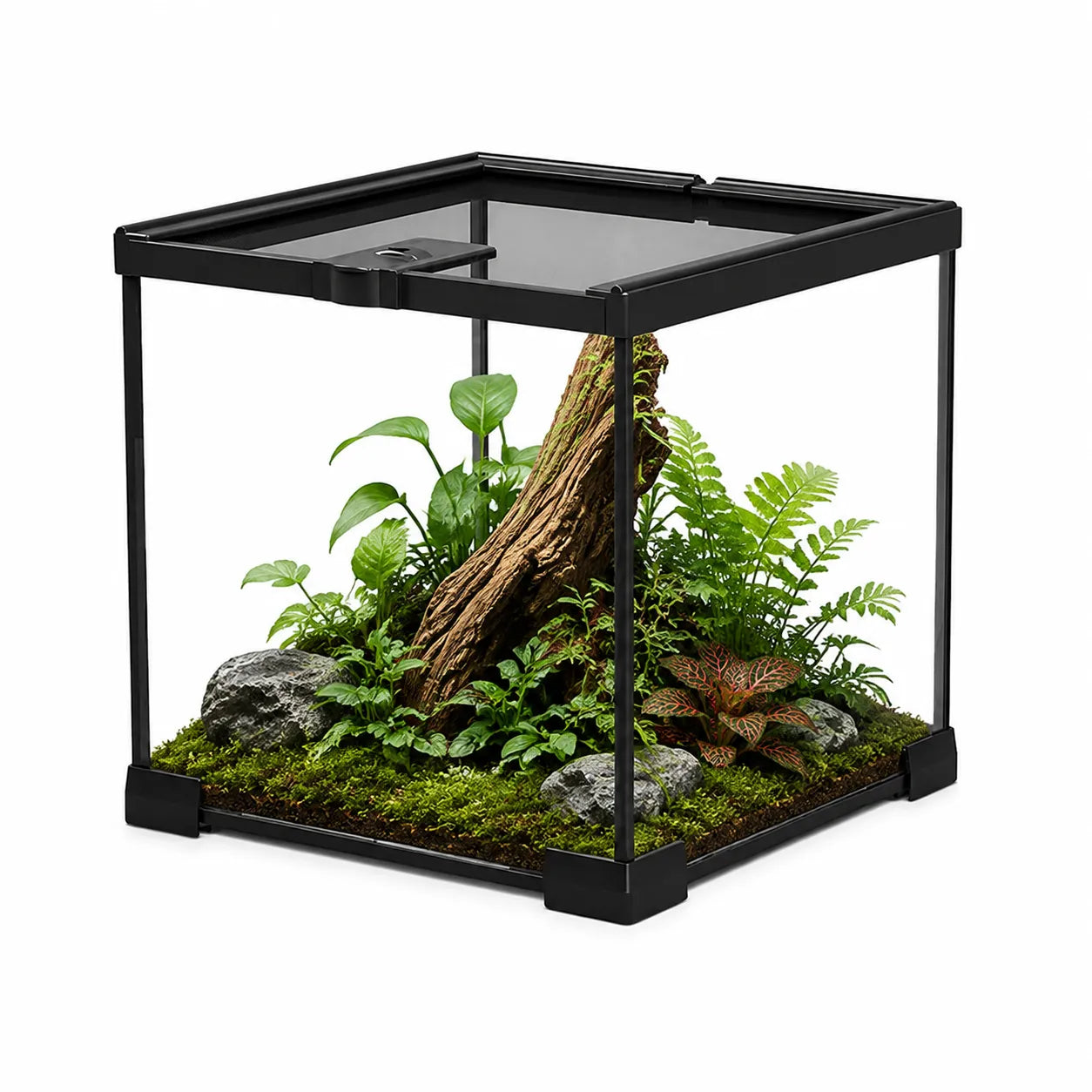 RTHabitat 360° Ultra Clear Glass Reptile Terrarium Panoramic Viewing Design