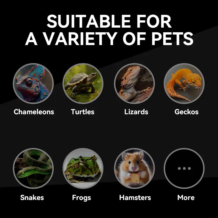 RTHabitat Premium ABS Frame Glass Reptile Enclosure Sliding Glass Doors Mesh Top