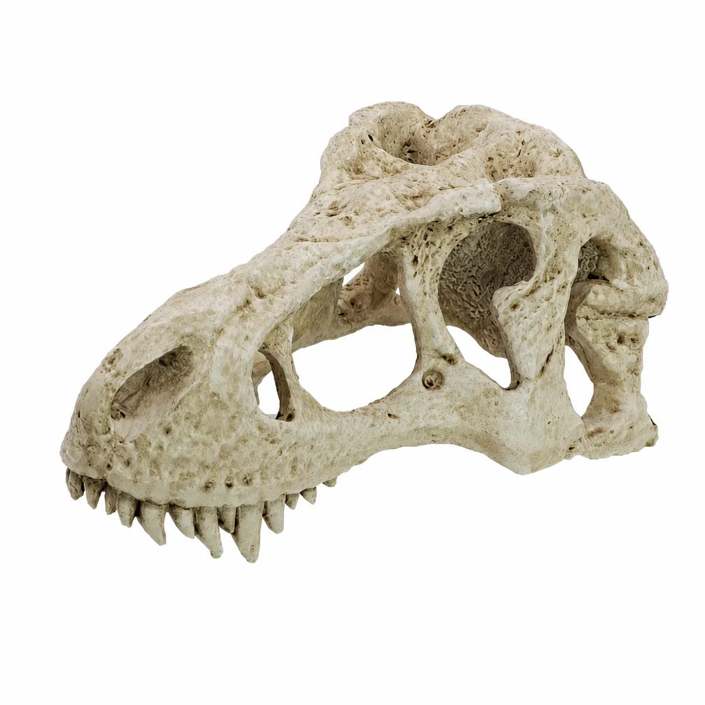 RTHabitat Resin Skull Hide Hollow Design