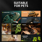 RTHabitat 360° Ultra Clear Glass Reptile Terrarium Panoramic Viewing Design