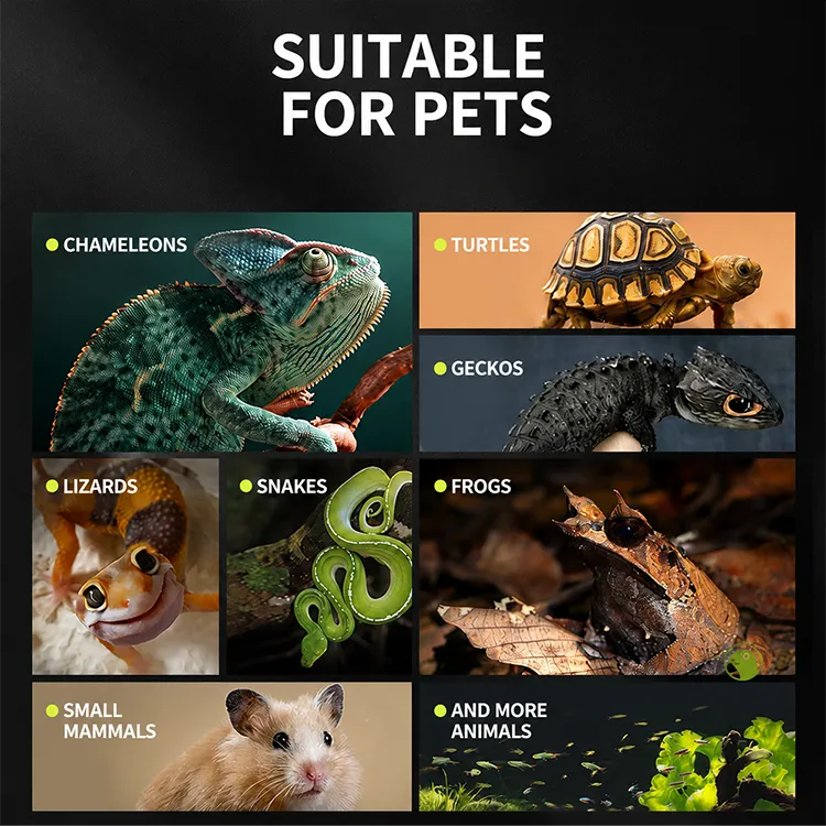RTHabitat 360° Ultra Clear Glass Reptile Terrarium Panoramic Viewing Design