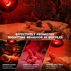 RTHabitat Daylight Basking Lamp for Natural Reptile Care