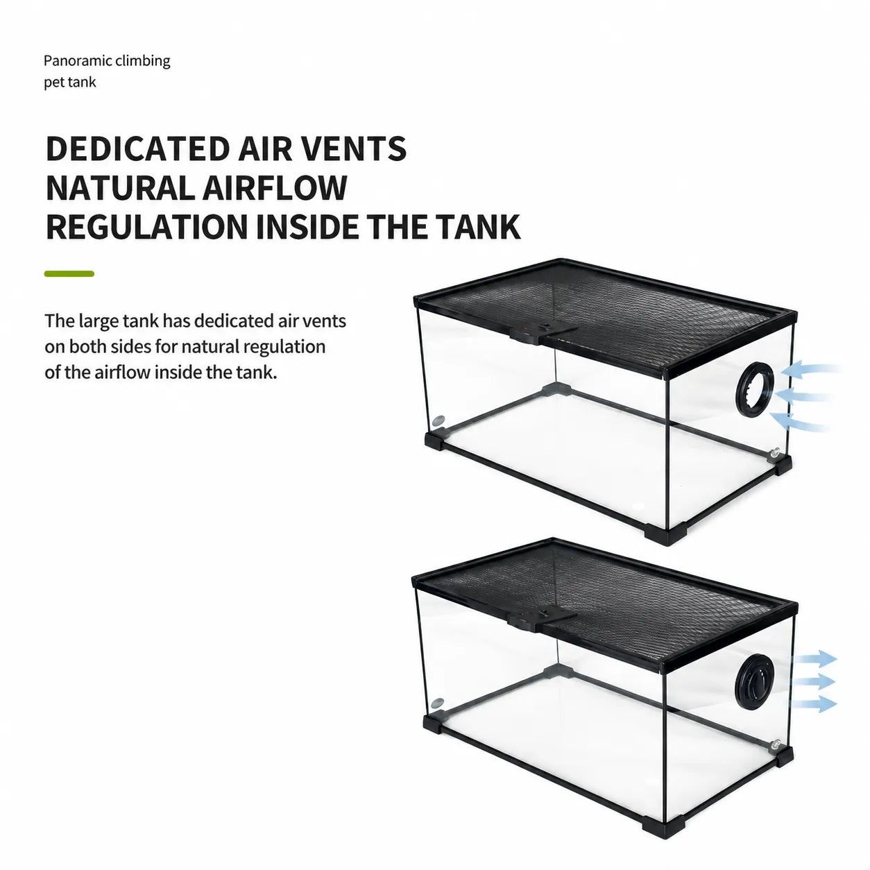 RTHabitat 360° Ultra Clear Glass Reptile Terrarium Panoramic Viewing Design