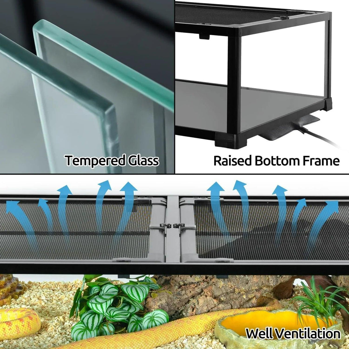 50 Gallon Glass Reptile Tank 48" x 24" x 10" Wide & Low Reptile Terrarium