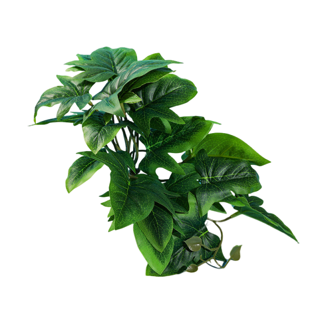 Reptile Habitat Plants for Easy Decoration and Enrichment