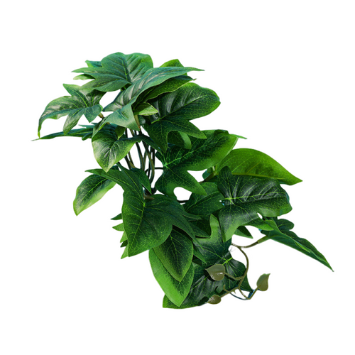Reptile Habitat Plants for Easy Decoration and Enrichment