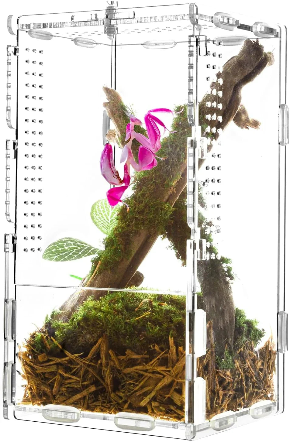 RTHabitat 2-in-1 Acrylic Invertebrate Enclosure 4" × 4" × 8"