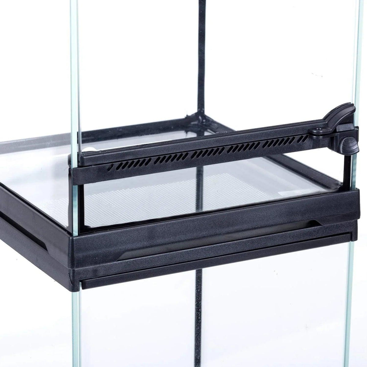RTHabitat Glass Terrarium Tank 8"x8"x12", Front Opening Door Full View Visually Appealing Mini Reptile or Amphibians Habitat
