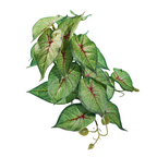 Reptile Habitat Plants for Easy Decoration and Enrichment