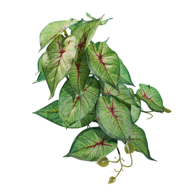 Reptile Habitat Plants for Easy Decoration and Enrichment