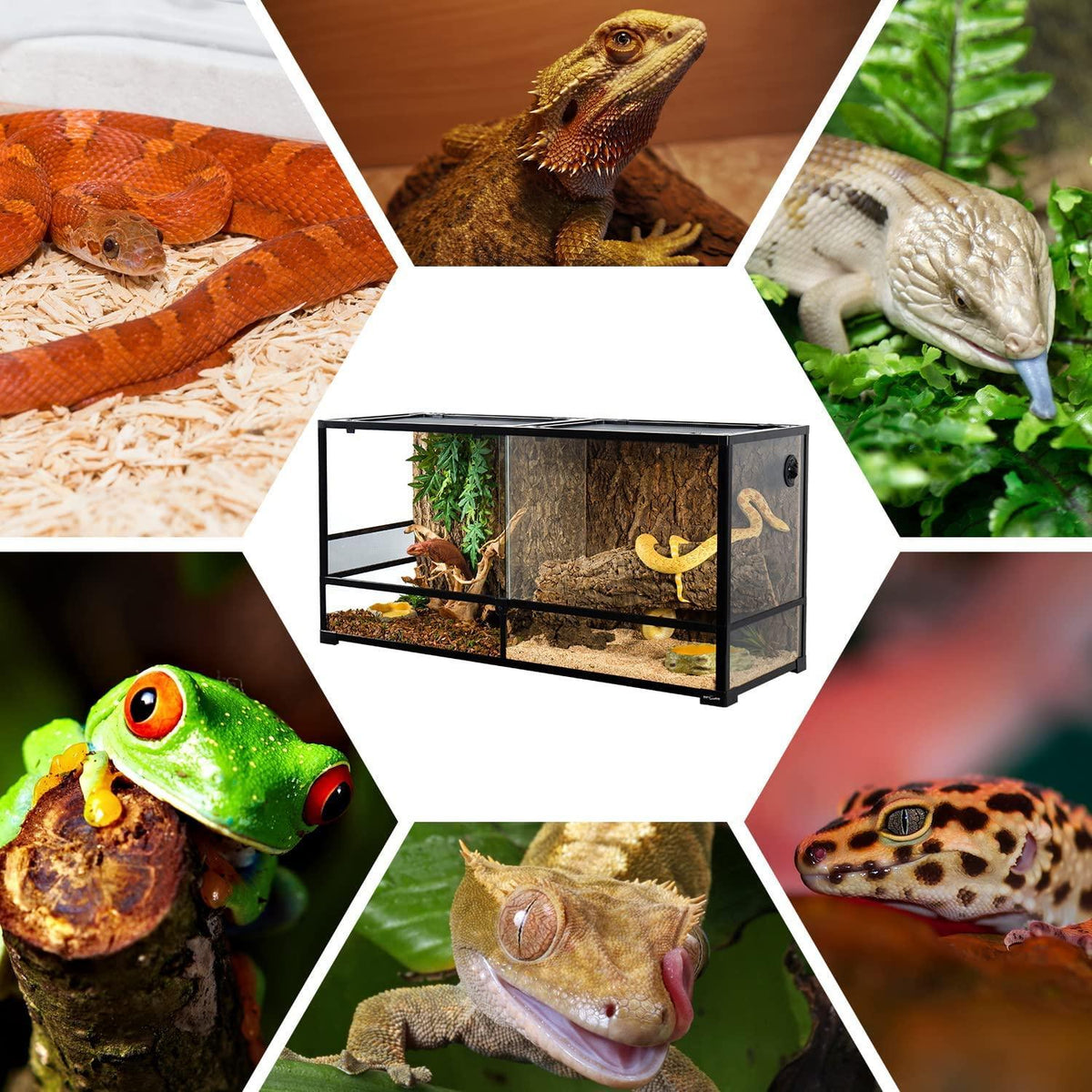 RTHabitat 90 Gallon 48*18*24 Glass Reptile Terrarium With Flexible Side Vent RK0223A - RTHabitat