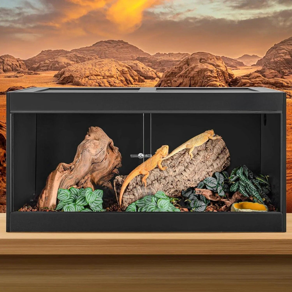 34-120 Gallon PVC Reptile Enclosure Choices for Reptile Pets