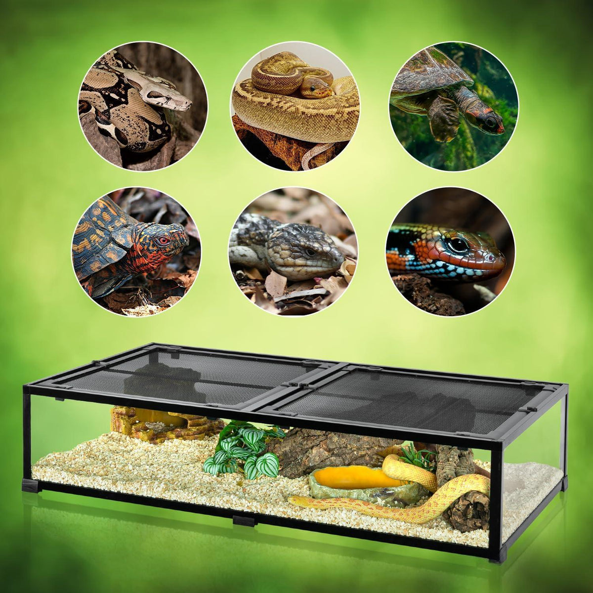 50 Gallon Glass Reptile Tank 48" x 24" x 10" Wide & Low Reptile Terrarium