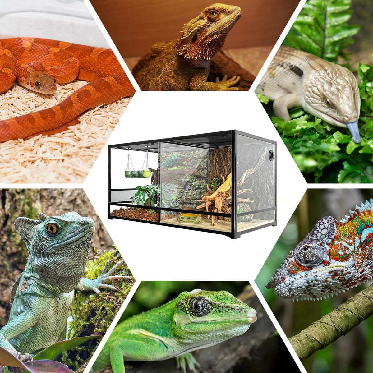 RTHabitat 120 Gallon Large Reptile Terrarium, 48" x 24" x 24" with 2 Separate Habitats