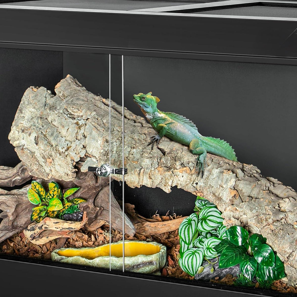34-120 Gallon PVC Reptile Enclosure Choices for Reptile Pets