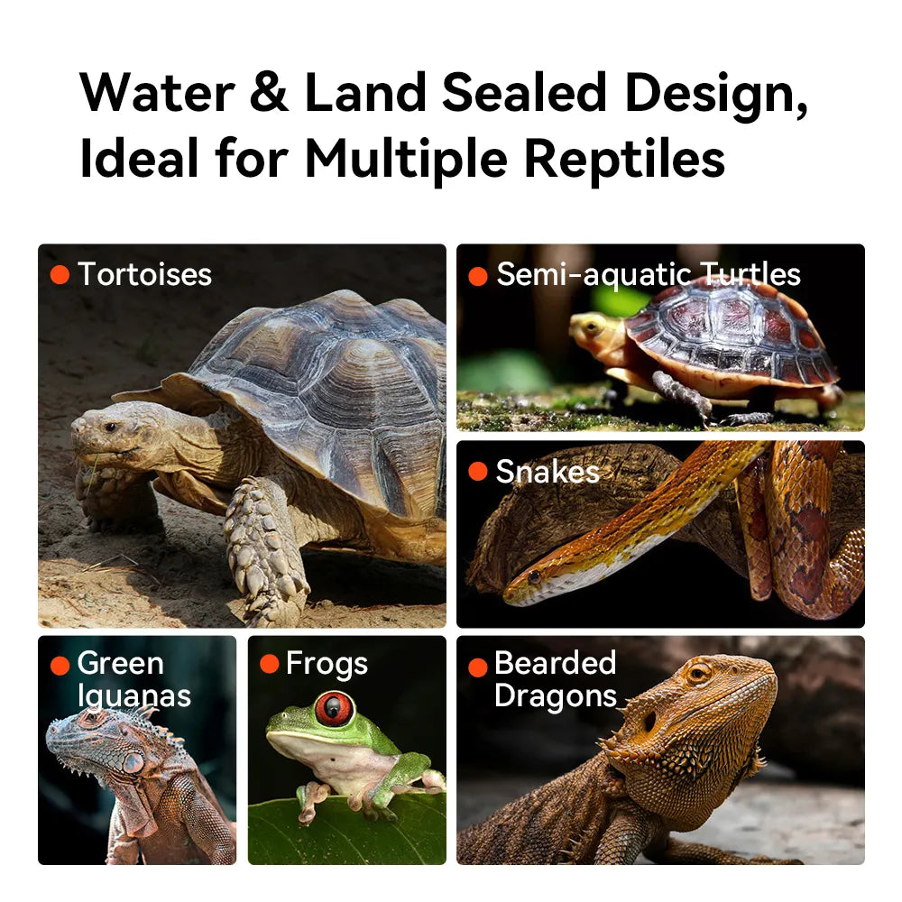 RTHabitat Front Opening Glass Reptile Enclosure Easy Access Terrarium Design