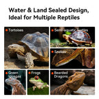 RTHabitat Front Opening Glass Reptile Terrarium