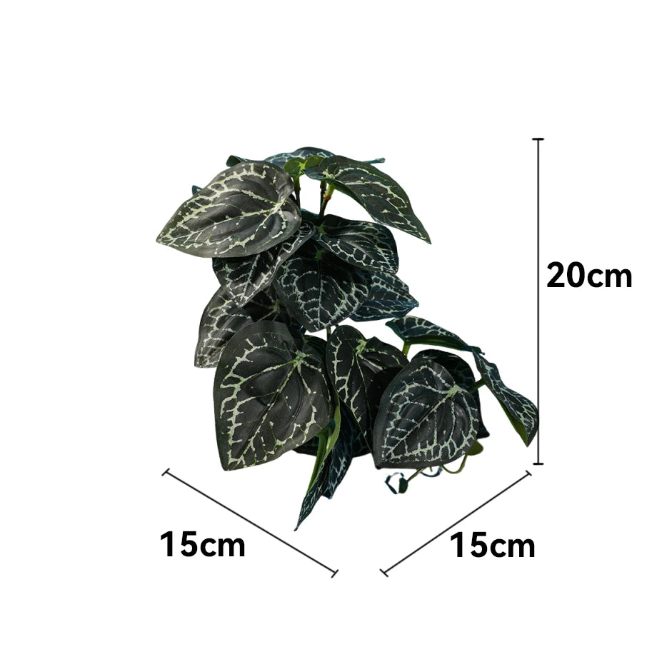 Reptile Habitat Plants for Easy Decoration and Enrichment