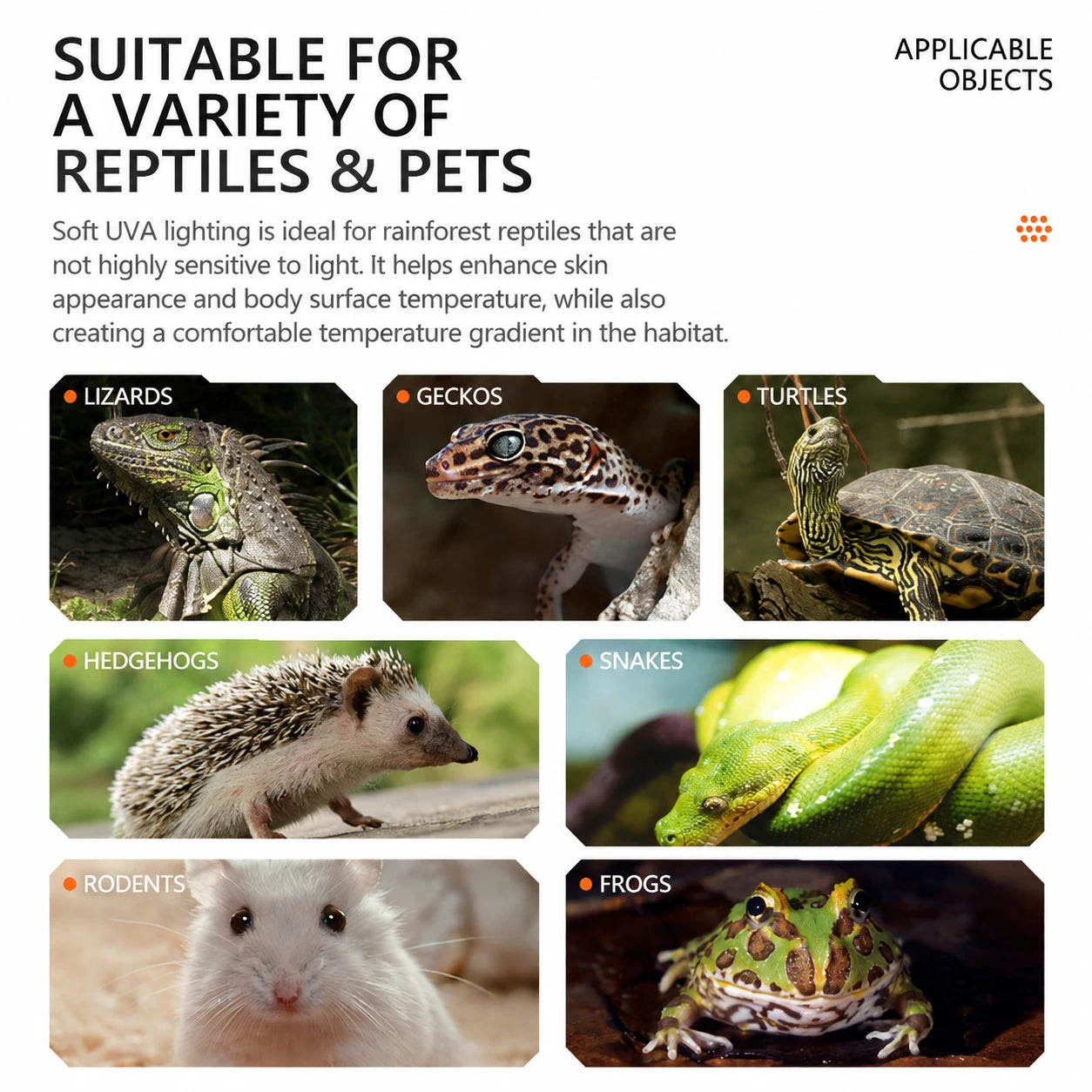 RTHabitat Daylight Basking Lamp for Natural Reptile Care