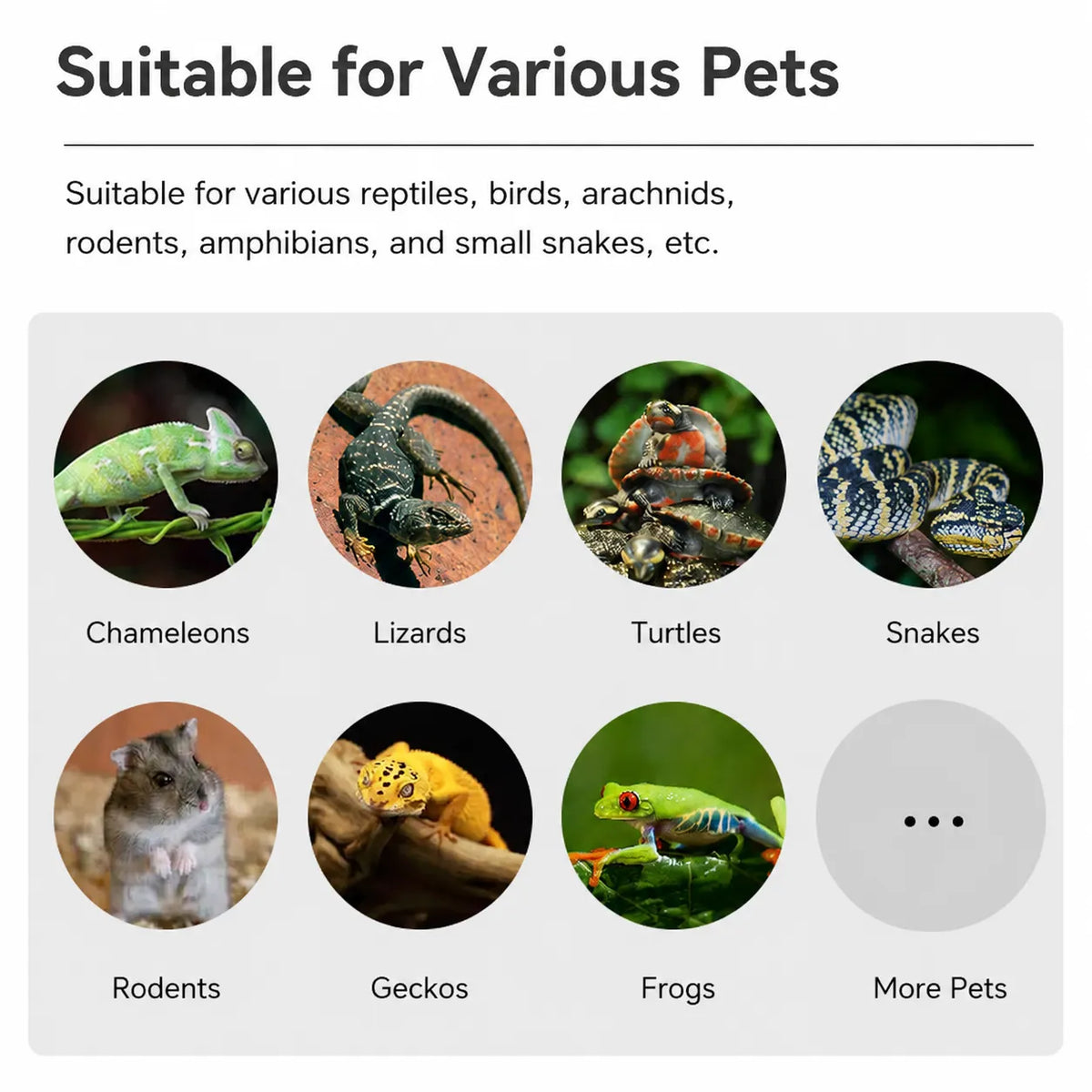RTHabitat Premium Aluminum Mesh Reptile Enclosure Full Ventilation Design