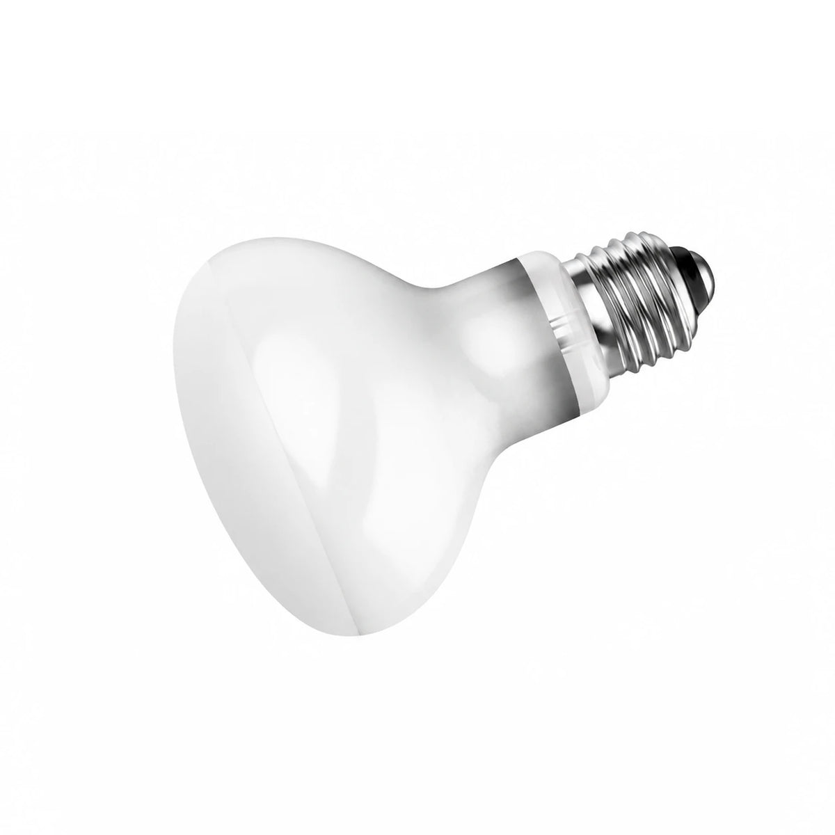 RTHabitat Daylight Basking Lamp for Natural Reptile Care