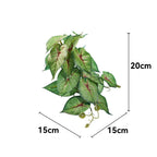 Reptile Habitat Plants for Easy Decoration and Enrichment
