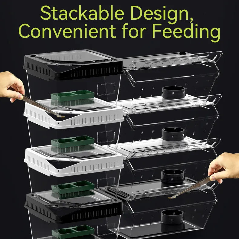 RTHabitat Clear Reptile Habitat Box Stackable Enclosure with Feeding Door