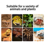 RTHabitat Trapezoidal Reptile Terrarium
