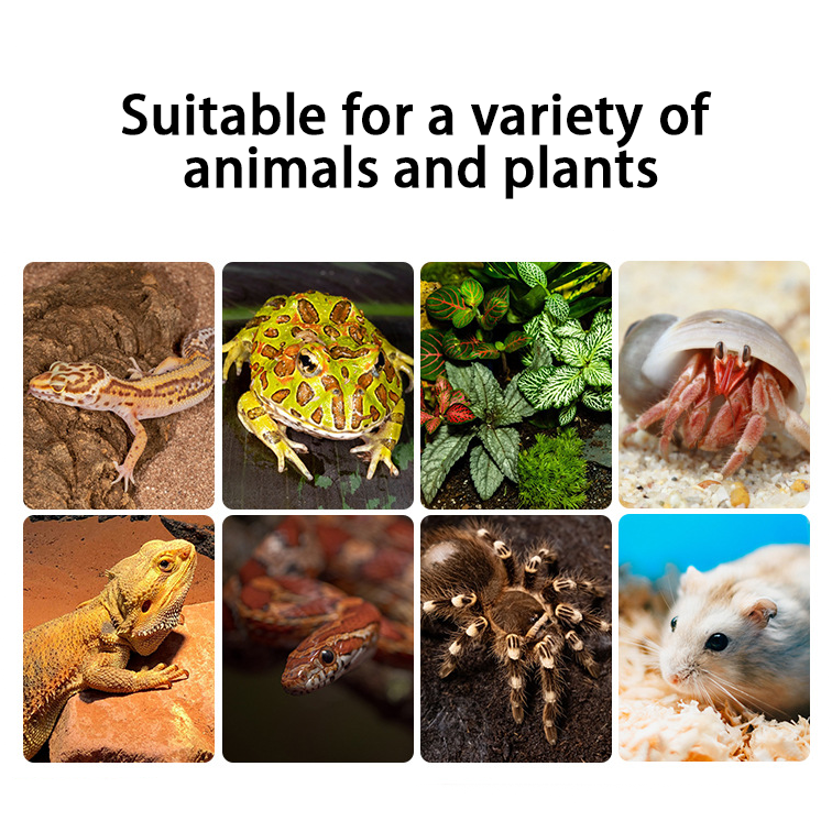 RTHabitat Trapezoidal Reptile Terrarium