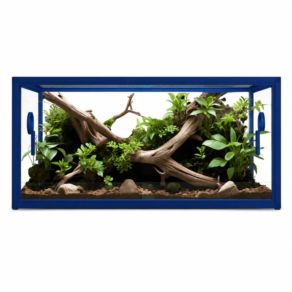 RTHabitat Premium Aluminum Frame Reptile Enclosure Tempered Glass Doors PVC Back Panel