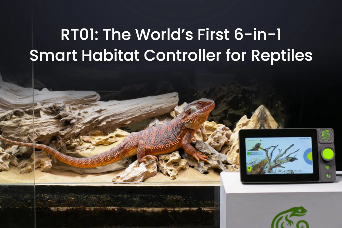 RT01 smart 6-in-1 reptile habitat controller with real-time temperature and humidity monitoring for a bearded dragon terrarium.