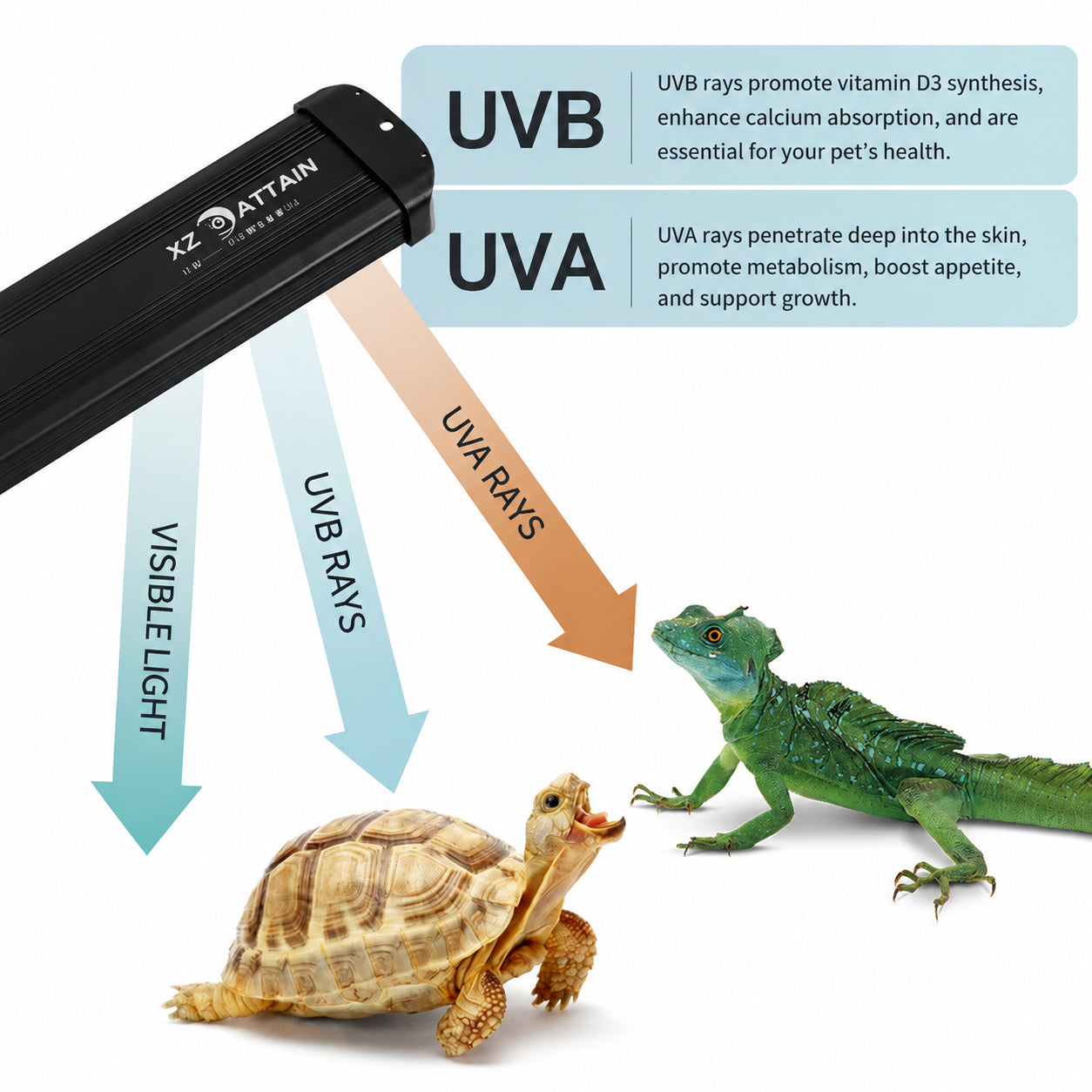 RTHabitat Full Spectrum UVB LED Light – Smart Control Panel Design